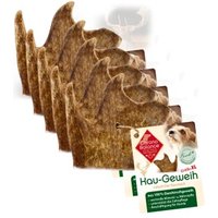 ChronoBalance natürliches Damhirsch Kaugeweih 5xXL, 5x ChronoBalance natürliches Damhirsch Kaugeweih 5xXL, 5x von ChronoBalance