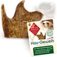 ChronoBalance natürliches Damhirsch Kaugeweih XL ChronoBalance natürliches Damhirsch Kaugeweih XL von ChronoBalance