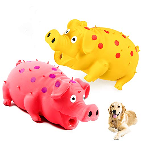 Quietschendes Schwein-Hundespielzeug, 2 Stück, grunzendes Schwein, Hundespielzeug, das Grunts für kleine, mittelgroße und große Hunde hält, haltbares Gummi-Schwein, Latex, interaktives Quietschen von ChubbyPiggies