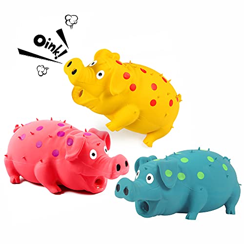 Quietschendes Schwein-Hundespielzeug, 3 Stück, grunzendes Schwein, Hundespielzeug, das Grunts für kleine, mittelgroße und große Hunde hält, haltbares Gummi-Schwein, Latex, interaktives Quietschen von ChubbyPiggies