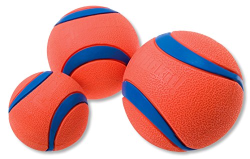 CHUCKIT - Ultra Ball - Spielzeug für Hunde - Doppelpack - 2 x Gr. M 6 cm 2 Pack von Chuckit!