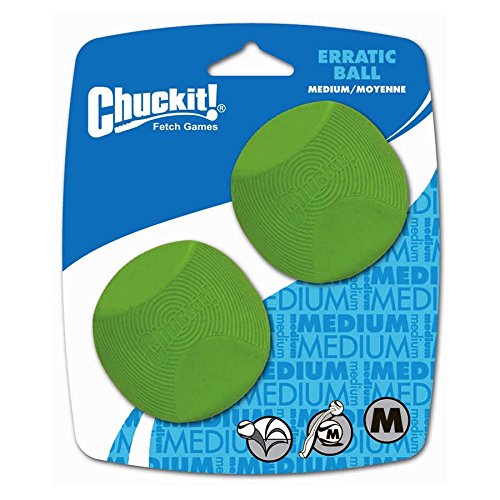 Chuckit! (6 Pack) Erratic Ball for Dogs Medium Ball Two Count von Chuckit!