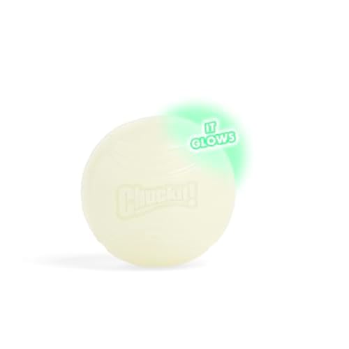 Chuckit – Max Glow Ball Large – Phosphoreszierender Ball für Hunde – Gummiball – weich im Mund – verstärkt die Komplizenschaft – Größe Large – Durchmesser 7,5 cm von Chuckit!