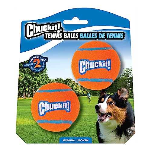 Schmeiß es weg! Tennisball-Hundespielzeug, robust, geeignet für Apportierspiele, geeignet für Hunde, Größe M, 2er-Pack von Chuckit!