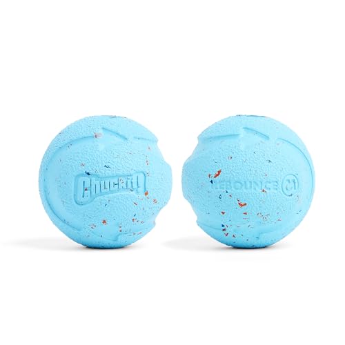 Chuckit! CH 0520320 Rebounce Ball Medium 2-er Pack von Carmex