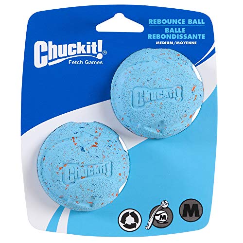 Chuckit! CH 0520320 Rebounce Ball Medium 2-er Pack von Chuckit!