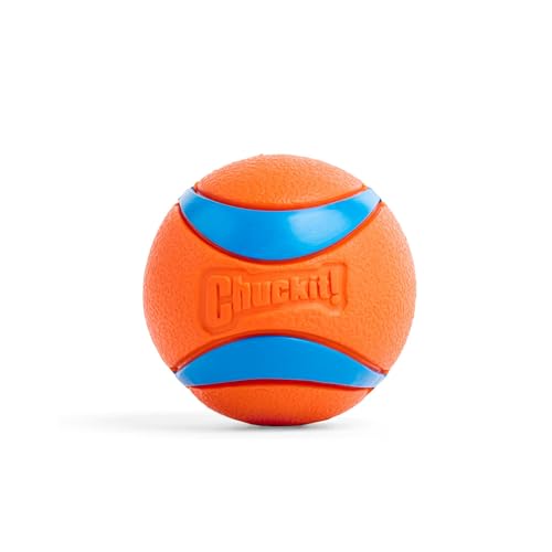 Chuckit – Ultra Ball Medium – 1 Jagdball für Hunde – Robuster und vielseitiger Ball – Ball der auf der Wasseroberfläche schwimmt – Kompatibel mit Chuckit Launchern - 6,5 cm Durchmesser von Chuckit!