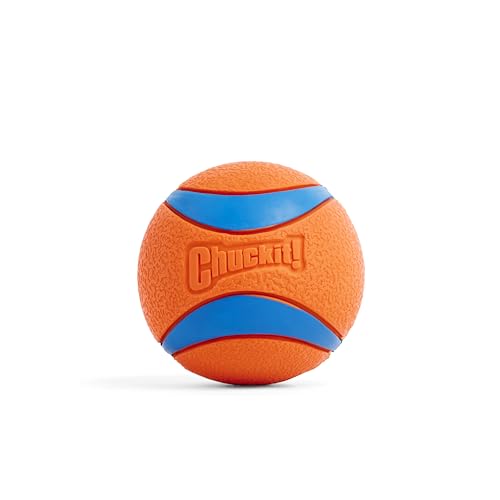 Chuckit – Ultra Ball XLarge – 1 Jagdball für Hunde – Robuster und vielseitiger Ball – Ball der auf der Wasseroberfläche schwimmt – Kompatibel mit Chuckit Launchern – 8,5 cm Durchmesser von Chuckit!