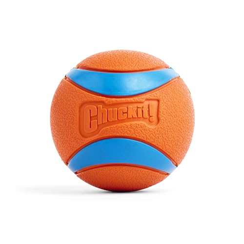 Chuckit! CH170501 Ultra Ball XXLarge 1-er Pack, Multi, XXL, 4-Inch, 1-Pack von Chuckit!
