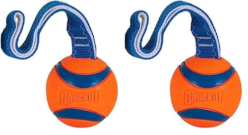 Chuckit! CH231301 Ultra Tug Large (Packung mit 2) von Chuckit!