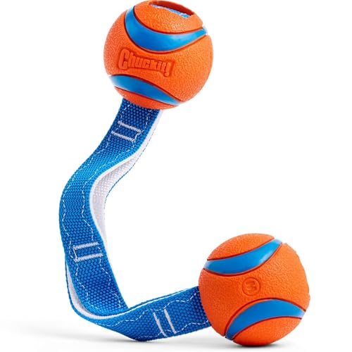 Chuckit! CH232201 Ultra Duo Tug Medium Chuckit! CH232201 Ultra Duo Tug Medium von Chuckit!