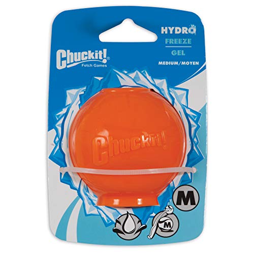 Chuckit! CH31474 Hydrofreeze Ball Medium Chuckit! CH31474 Hydrofreeze Ball Medium von Chuckit!