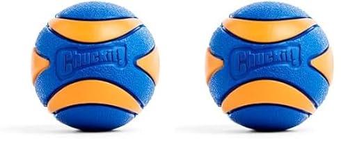 Chuckit! CH52068 Ultra Squeaker Ball Medium 1-er Pack (Packung mit 2) von Chuckit!