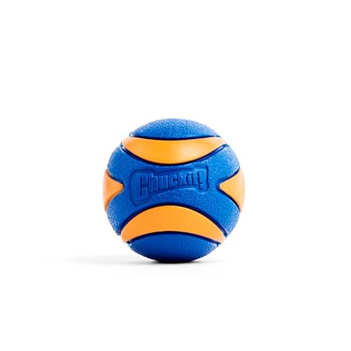 Chuckit! CH52068 Ultra Squeaker Ball Medium 1-er Pack von Chuckit!