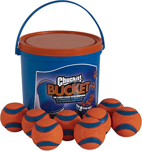 Chuckit! Ultra Ball, langlebiger, hoher Sprungkraft, Gummiball mit Eimer, Launcher kompatibles Hundespielzeug, 8 Stück, Größe M von Chuckit!