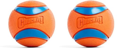 Chuckit! Ultra Ball Large (Packung mit 2) von Chuckit!