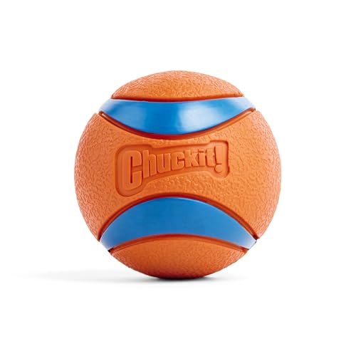 Chuckit – Ultra Ball Large – 1 Jagdball für Hunde – Robuster und vielseitiger Ball – Ball der auf der Wasseroberfläche schwimmt – Kompatibel mit Chuckit Launchern – 7,5 cm Durchmesser von Chuckit!