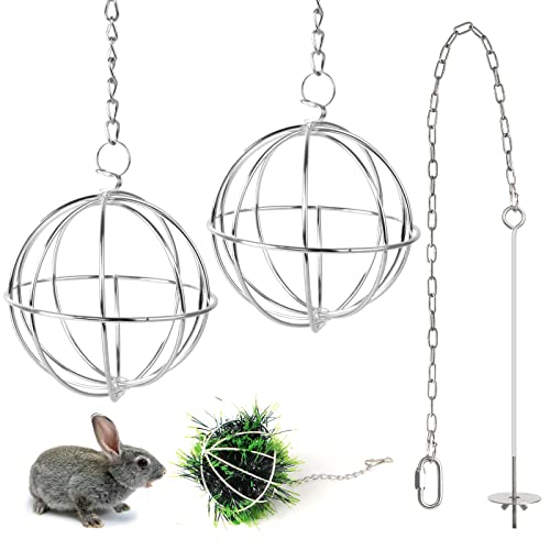 2 Stücke Edelstahl Feeder Ball Heuball Kaninchen mit 1 Obst- und Gemüsestäbchenhalter Gabel Fütterung Spielzeugs Futterbälle für Hase Meerschweinchen Kaninchen Chinchillas Hamster zum Aufhängen 2 Stücke Edelstahl Feeder Ball Heuball Kaninchen mit 1 Obst- und Gemüsestäbchenhalter Gabel Fütterung Spielzeugs Futterbälle für Hase Meerschweinchen Kaninchen Chinchillas Hamster zum Aufhängen von Chudian