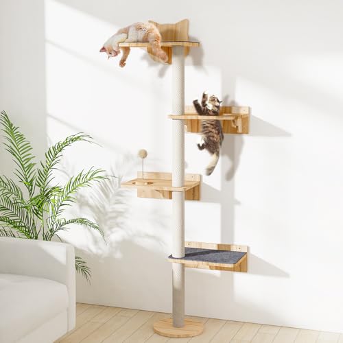 Kratzbaum zur Wandmontage, mit 2 rutschfesten Teppichen, Sisal-Kratzbaum und Katzenregalen, Sitzstange mit Holzbahn Spielzeugball, Katzen-Wandregal, Kletterturm für Innenbereich, mittleres großes Kratzbaum zur Wandmontage, mit 2 rutschfesten Teppichen, Sisal-Kratzbaum und Katzenregalen, Sitzstange mit Holzbahn Spielzeugball, Katzen-Wandregal, Kletterturm für Innenbereich, mittleres großes von Chuiendi