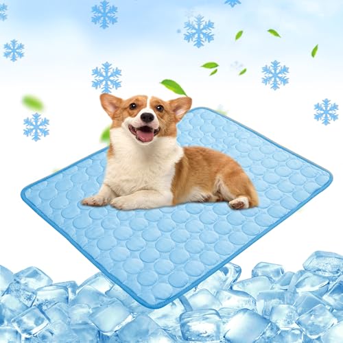 Chumix Kühlmatte für Hunde 55x70cm, Selbstkühlende Kühldecke Hund für Katzen und Hunde, Leicht zu Reinigen, Gel-Freie Kühlmatte Hund, Perfekt für Auto, Reise und Zuhause von Chumix