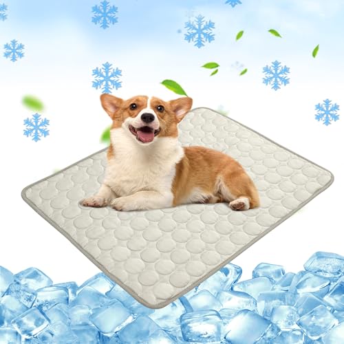 Chumix Kühlmatte für Hunde 55x70cm, Selbstkühlende Kühldecke Hund für Katzen und Hunde, Leicht zu Reinigen, Gel-Freie Kühlmatte Hund, Perfekt für Auto, Reise und Zuhause von Chumix