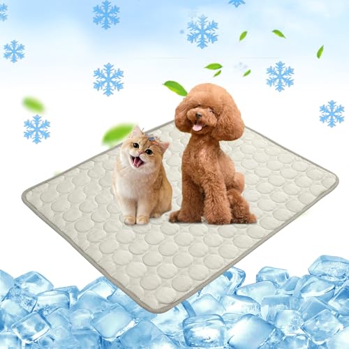 Chumix Kühlmatte für Hunde 50x60cm, Selbstkühlende Kühldecke Hund für Katzen und Hunde, Leicht zu Reinigen, Gel-Freie Kühlmatte Hund, Perfekt für Auto, Reise und Zuhause von Chumix