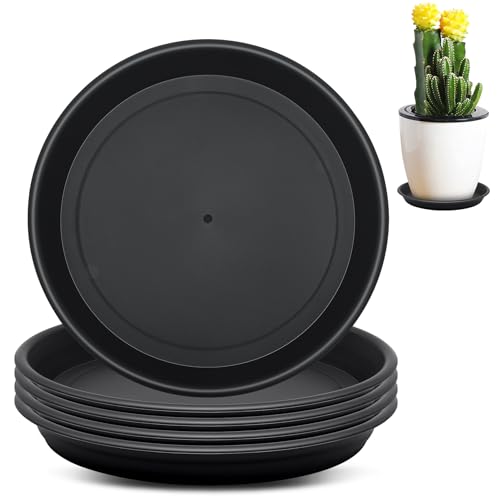 Chuner 5 Stück 19 cm Blumentopf Untersetzer, Pflanzen Untersetzer für Blumentöpfe, Rund Pflanzentopf Untertasse, Plastik Pflanztopf Unterteller für Innen und Außenpflanzen Chuner 5 Stück 19 cm Blumentopf Untersetzer, Pflanzen Untersetzer für Blumentöpfe, Rund Pflanzentopf Untertasse, Plastik Pflanztopf Unterteller für Innen und Außenpflanzen von Chuner
