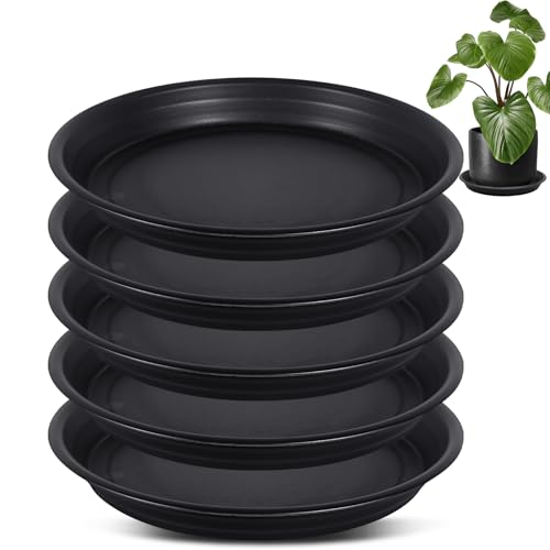 Chuner 5X Blumentopf Untersetzer Ø 32.5cm, Pflanzen Untersetzer Farbe Anthrazit Kunststoff Blumenuntersetzer Blumentopfuntersetzer passend zu Ø 26cm Blumentöpfen Chuner 5X Blumentopf Untersetzer Ø 32.5cm, Pflanzen Untersetzer Farbe Anthrazit Kunststoff Blumenuntersetzer Blumentopfuntersetzer passend zu Ø 26cm Blumentöpfen von Chuner