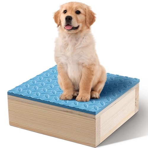 Chunful Hundetrainingsplattform, rutschfeste Oberfläche, Platzbretter für Hunde, tragbares Agility-Trainingsgerät, Drehbox für den Innen- und Außenbereich, Welpenständer, Platzbretter Chunful Hundetrainingsplattform, rutschfeste Oberfläche, Platzbretter für Hunde, tragbares Agility-Trainingsgerät, Drehbox für den Innen- und Außenbereich, Welpenständer, Platzbretter von Chunful