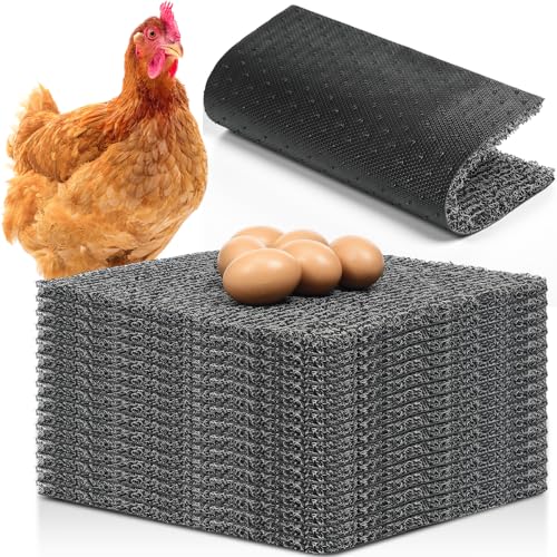 Chunful Nistunterlagen für Hühnerstall, waschbare Kunststoff-Nistkasteneinlagen, 30,5 x 30,5 cm, wiederverwendbare Nistkasten-Pads mit 6 künstlichen Holzeiern, Hühnerlegematten, Stallzubehör, 12 Stück Chunful Nistunterlagen für Hühnerstall, waschbare Kunststoff-Nistkasteneinlagen, 30,5 x 30,5 cm, wiederverwendbare Nistkasten-Pads mit 6 künstlichen Holzeiern, Hühnerlegematten, Stallzubehör, 12 Stück von Chunful
