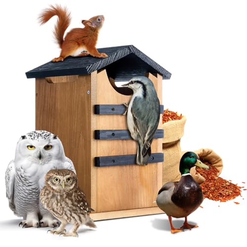 Chunful Zedernholz-Eichhörnchen-Haus, Scheunen-Eule, Vogelhaus draußen, Enten-Nistschutz, rustikaler großer Eichhörnchen-Unterschlupf und Vogelhaus-Kombination, schwere Holzbox, karbonisierte Montage von Chunful