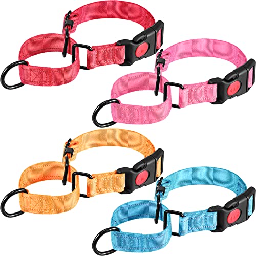 Martingale-Halsbänder für Hunde, mehrfarbig, für kleine Hunde, Halsband für Welpen, Training von Chunful