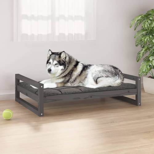 Chusui Hundebett, Hundesofa, Hunde Bett, Hundekissen, Kuschelbett Katzen, Dog Bed, Hunde Couch, Hunde Sofabett, Grau 105,5x75,5x28 cm Massivholz Kiefer Chusui Hundebett, Hundesofa, Hunde Bett, Hundekissen, Kuschelbett Katzen, Dog Bed, Hunde Couch, Hunde Sofabett, Grau 105,5x75,5x28 cm Massivholz Kiefer von Chusui