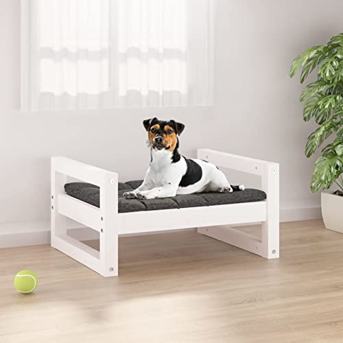 Chusui Hundebett, Hundesofa, Hunde Bett, Hundekissen, Kuschelbett Katzen, Dog Bed, Hunde Couch, Hunde Sofabett, Weiß 55,5x45,5x28 cm Massivholz Kiefer Chusui Hundebett, Hundesofa, Hunde Bett, Hundekissen, Kuschelbett Katzen, Dog Bed, Hunde Couch, Hunde Sofabett, Weiß 55,5x45,5x28 cm Massivholz Kiefer von Chusui