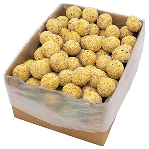 Meisenknödel 200 STK, Chusui Wildvogelfutter, Vogelknödel, Vogelfutter, 90 g von Chusui