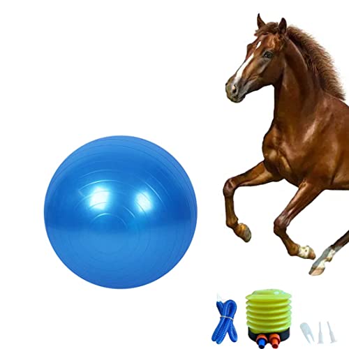 Pferdeball Trainingsspielzeug, Anti-Burst Pferd Übungsball Spielzeug mit Inflator Pumpe für Pferd Lamm Ziege Enterainment Spielzeug Ball (25 Zoll), Blau von Chyesong