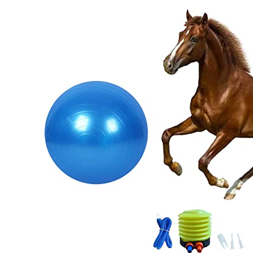 Pferdeball Trainingsspielzeug, Anti-Burst Pferd Übungsball Spielzeug mit Inflator Pumpe für Pferd Lamm Ziege Enterainment Spielzeug Ball (56 Zoll), Blau von Chyesong