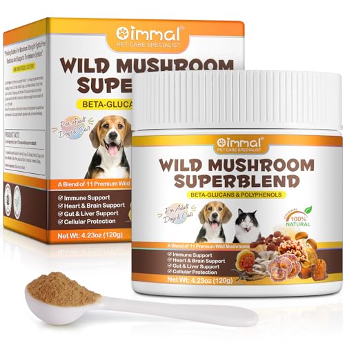 Pilzpulver zur Unterstützung des Immunsystems für Hunde & Katzen, Bio-Pilzkomplex für Immunität & Kognition, mit 11 Bio-Pilzextrakten, Löwenmähne, Reishi, Chaga, Cordyceps, Truthahnschwanz &Mehr, 120g von CiAIplw