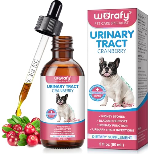 Unterstützung bei Harnwegsinfektionen bei Hunden – Natürliche Hund UTI Behandlung Tropfen, Cranberry Kräuterergänzung für die Gesundheit der Nieren-und Blasenfunktion, 60ml von CiAIplw