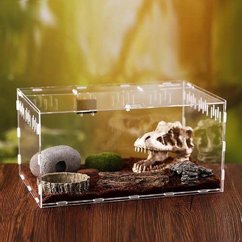 CiCixixi Transparent Acryl Terrarium, 360° Sicht, für Reptilien & Insekten, 30 x 20 x 15 cm von CiCixixi
