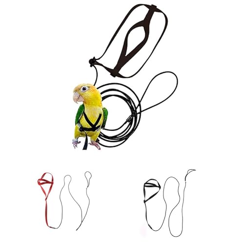 CiCixixi 2 Stück Haustier Vogelgeschirr Leine,Anti-Biss-Flugtraining Seil Haustier Traktion im Freien Fit Wellensittich Nymphensittich Mynah Kleiner Vogel （Rot + Schwarz）(S) von CiCixixi