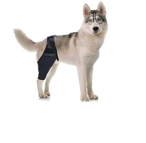 CiCixixi Hunde Kniebandage Hinterbein, Hunde Kniebandage, Hunde Hinterbein Bandage Hunde Klammer Hinterbein Hunde-Kniestütze für Hunde Klammer Hinterbein (L) von CiCixixi