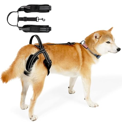 CiCixixi Hundehebegeschirr, Hundestützgeschirr für die Hinterbeine, Hüft-Hebegeschirr für Hunde, mittlere und große Hunde, Hundeschlaufe für Hinterbeine L CiCixixi Hundehebegeschirr, Hundestützgeschirr für die Hinterbeine, Hüft-Hebegeschirr für Hunde, mittlere und große Hunde, Hundeschlaufe für Hinterbeine L von CiCixixi