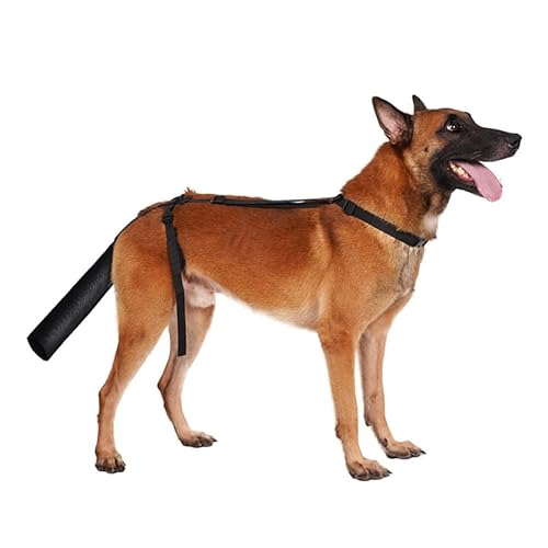 CiCixixi Hundeschwanz Schutz, Hundeschwanzabdeckung für Wunden, Hundeschwanzschutz Für MittelgroßE Und GroßE Hunde, Schwanz-Wundschutz FüR Haustiere Und Tiere, Schwarz (L) von CiCixixi