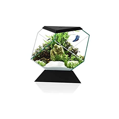 CIANO Aquarium Beta Nexus 5C schwarz von Ciano