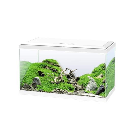 Ciano, Aquarium 60 weiß, für Fische, ausgestattet mit Filter, Verbrauchsmaterial, LED und Heizung, 58 l, verstärkte Verpackung für den Internetversand Ciano, Aquarium 60 weiß, für Fische, ausgestattet mit Filter, Verbrauchsmaterial, LED und Heizung, 58 l, verstärkte Verpackung für den Internetversand von Ciano