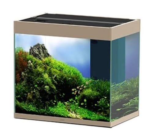 Ciano Emotions 60 Mystic Bio Filter von Ciano