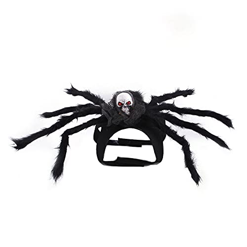 Cicano Halloween Katze Hund Spinne Kostüm Halloween Haustier Schädel Spinne Cosplay Dekoration Halsband für kleine Tiere Grau M von Cicano