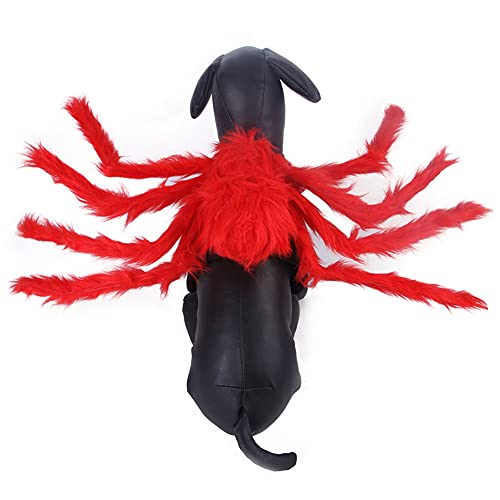 Cicano Halloween-Kostüm, Spinne für Katzen, Welpen, Hunde, Größe L, Rot von Cicano