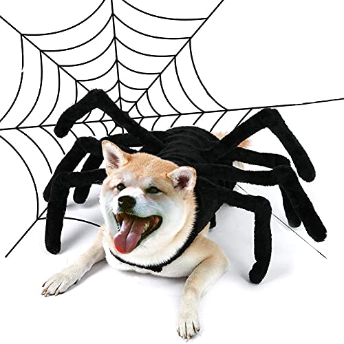 Cicano Halloween Spinne Haustier Geschirr Spinne Kostüm für Dos Katze kleine Haustiere XXL von Cicano